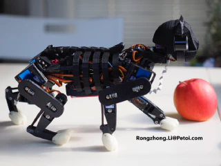 Open Cat